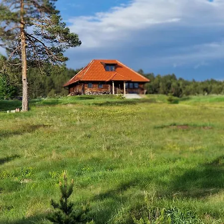 Skroviste, Zlatibor-vodice 펜션 *