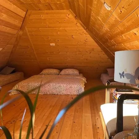 Skroviste, Zlatibor-vodice Holiday home *