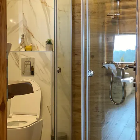 Skroviste, Zlatibor-vodice Holiday home *