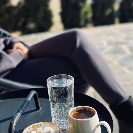 Дом отдыха Skroviste, Zlatibor-vodice Златибор